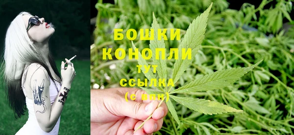 шишки Алзамай