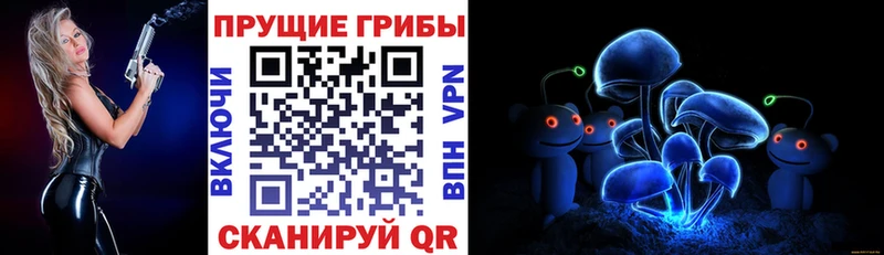 как найти закладки  Нолинск  Галлюциногенные грибы мухоморы 